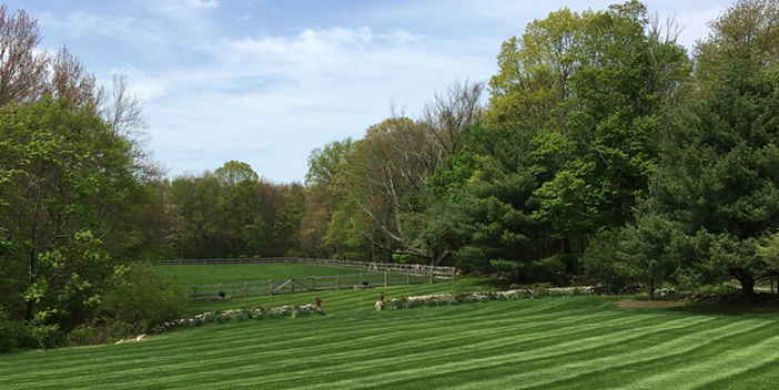 New Preston Landscaping and Lawn Mowing Services